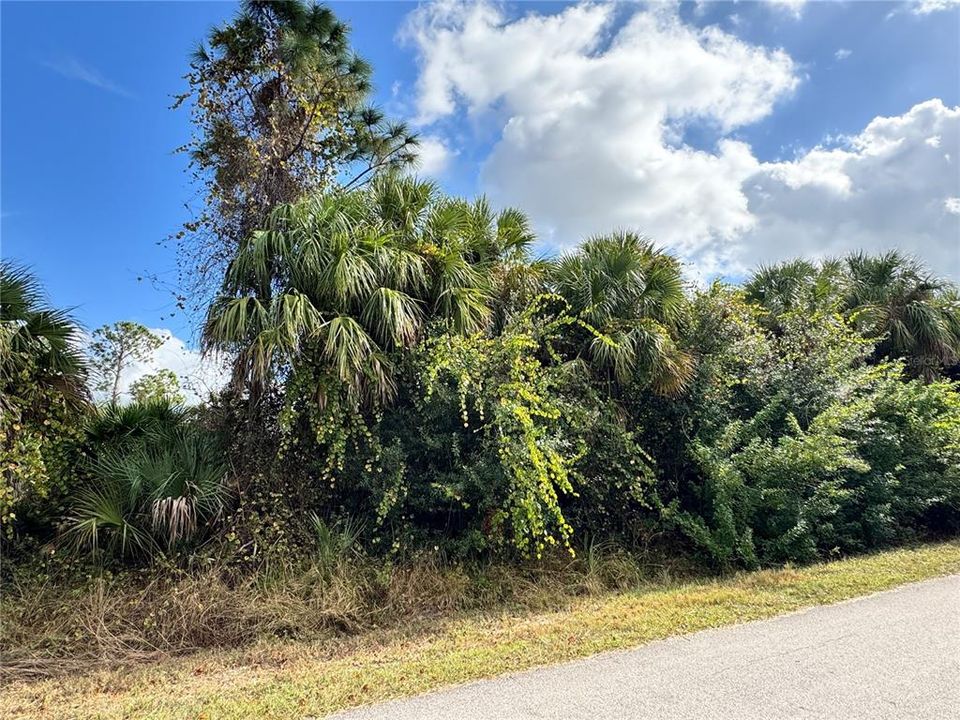 For Sale: $29,000 (0.23 acres)