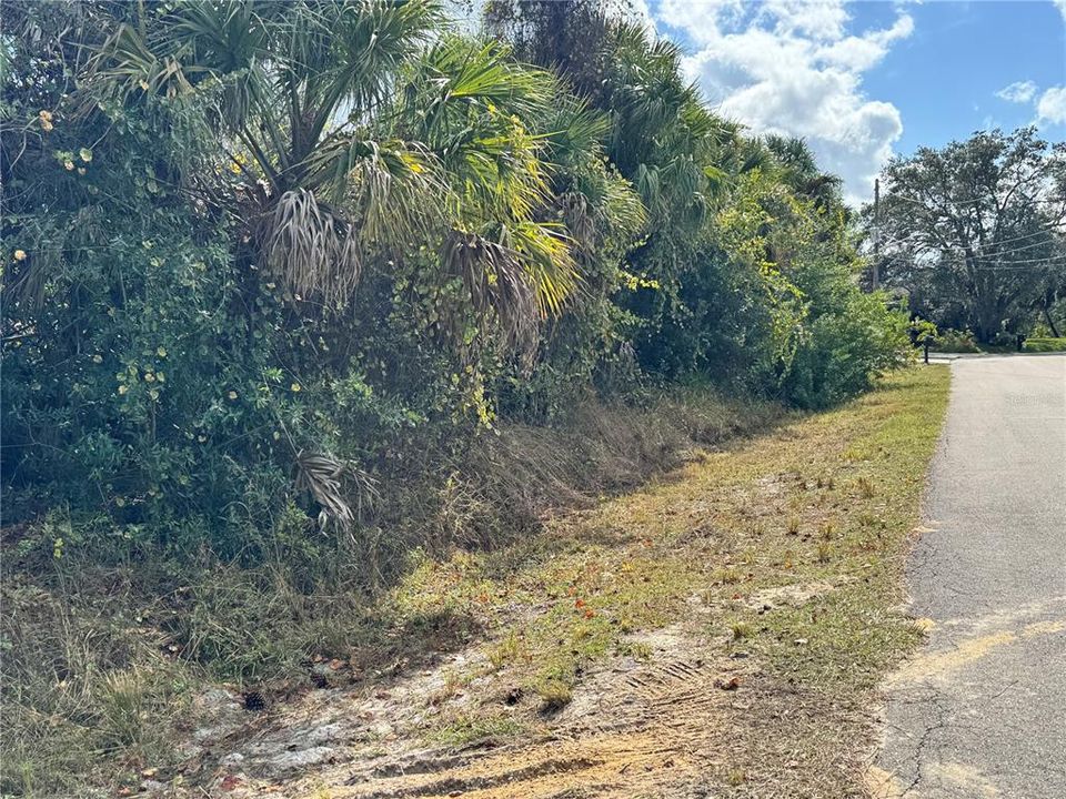 For Sale: $29,000 (0.23 acres)