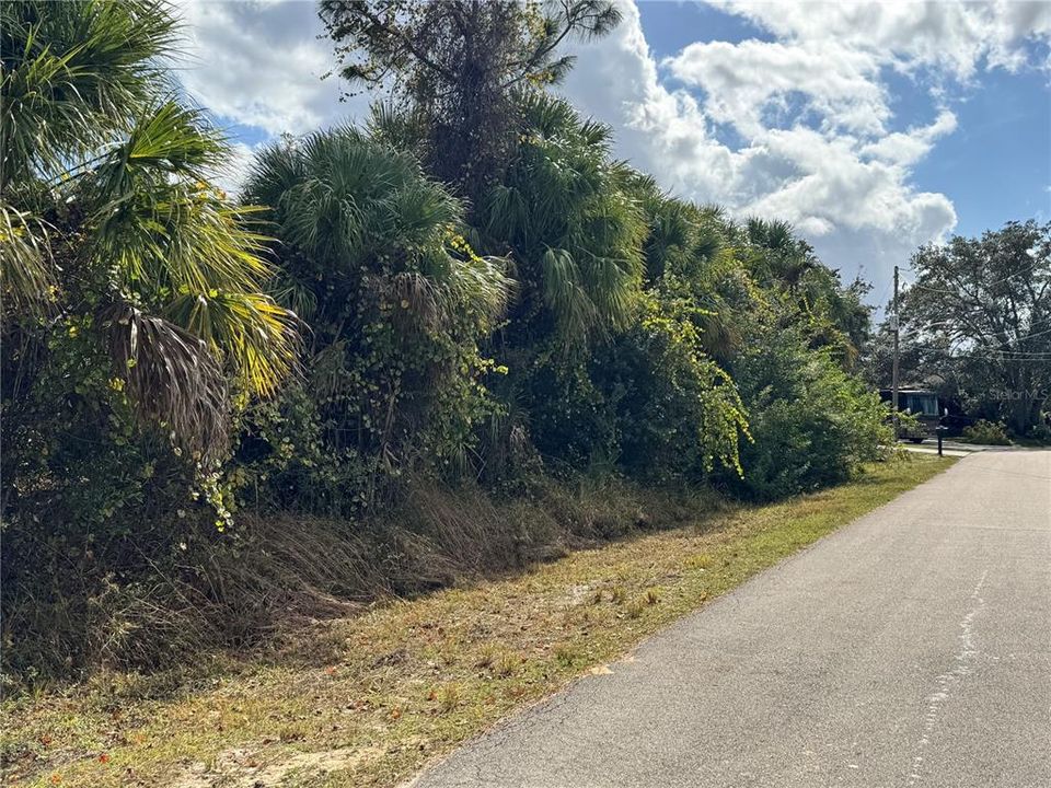 For Sale: $29,000 (0.23 acres)