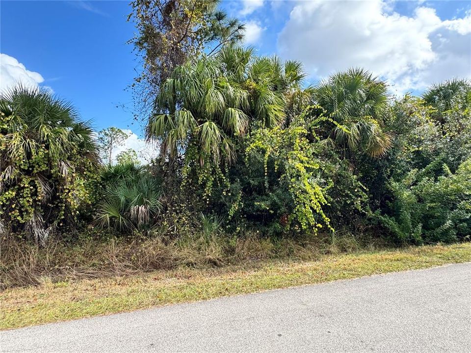 For Sale: $29,000 (0.23 acres)