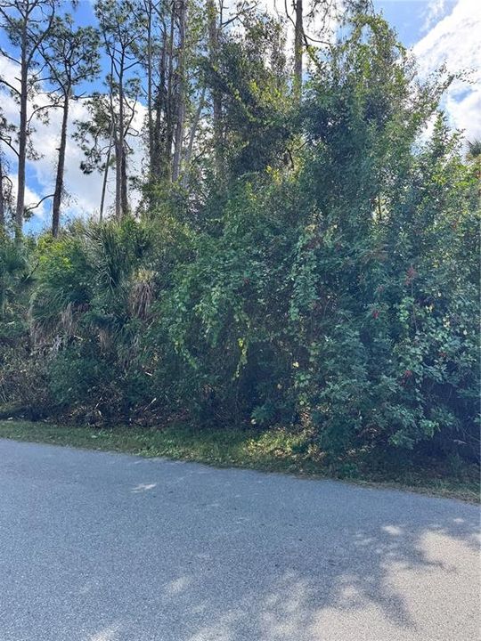 For Sale: $25,000 (0.23 acres)