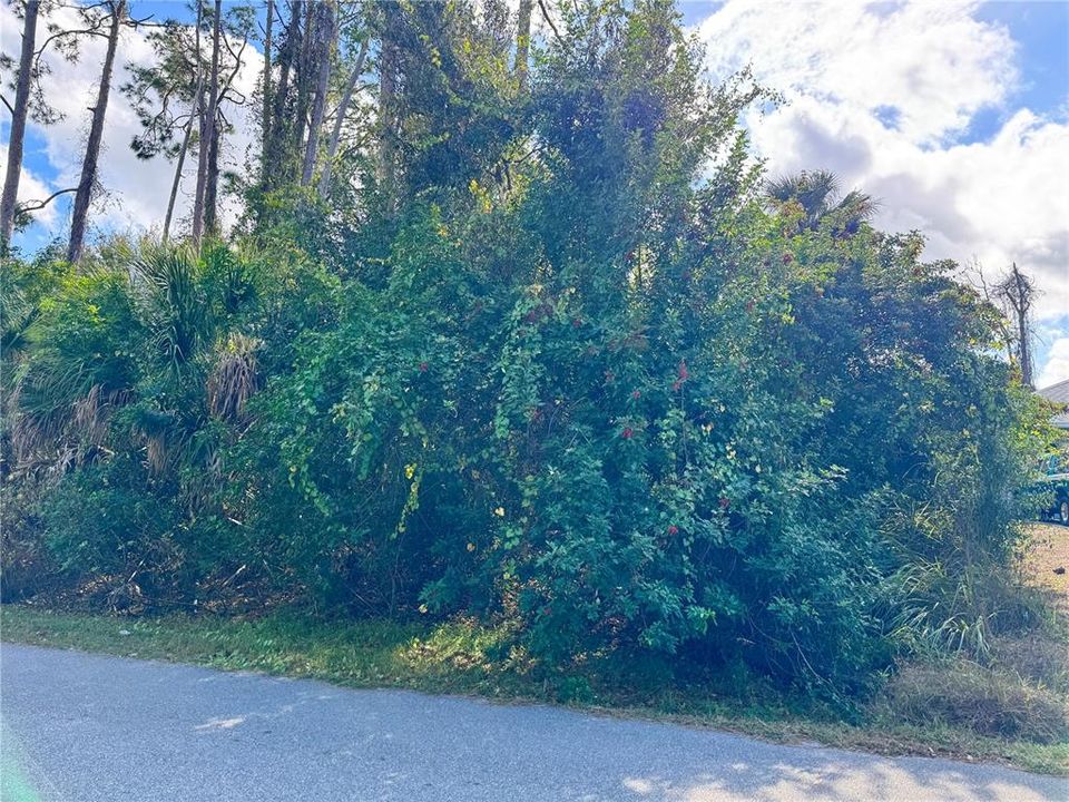 For Sale: $25,000 (0.23 acres)