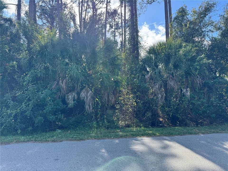 For Sale: $25,000 (0.23 acres)