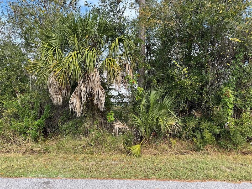 待售: $25,000 (0.23 acres)