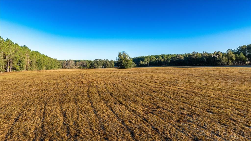 待售: $700,000 (19.70 acres)