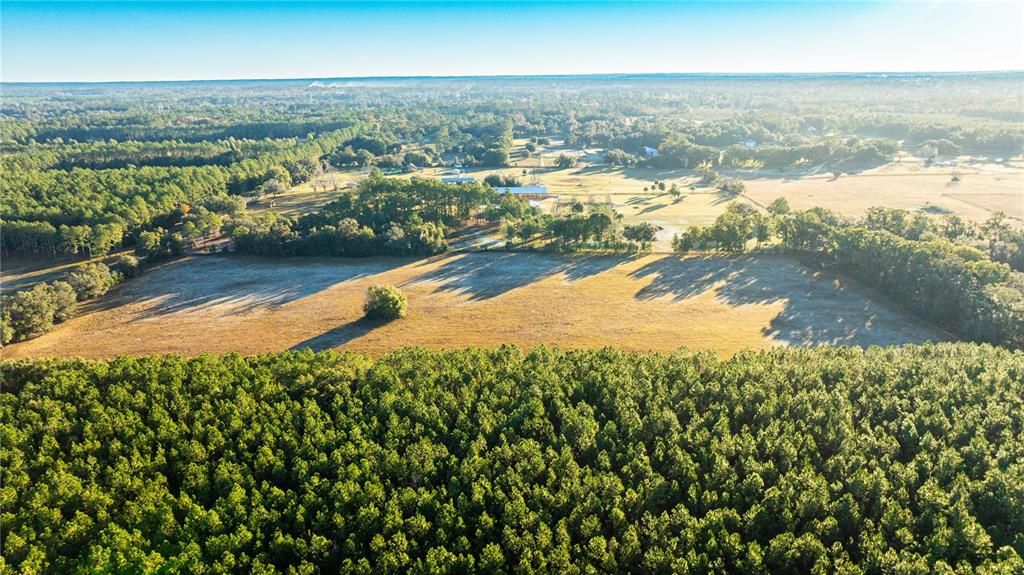 待售: $700,000 (19.70 acres)