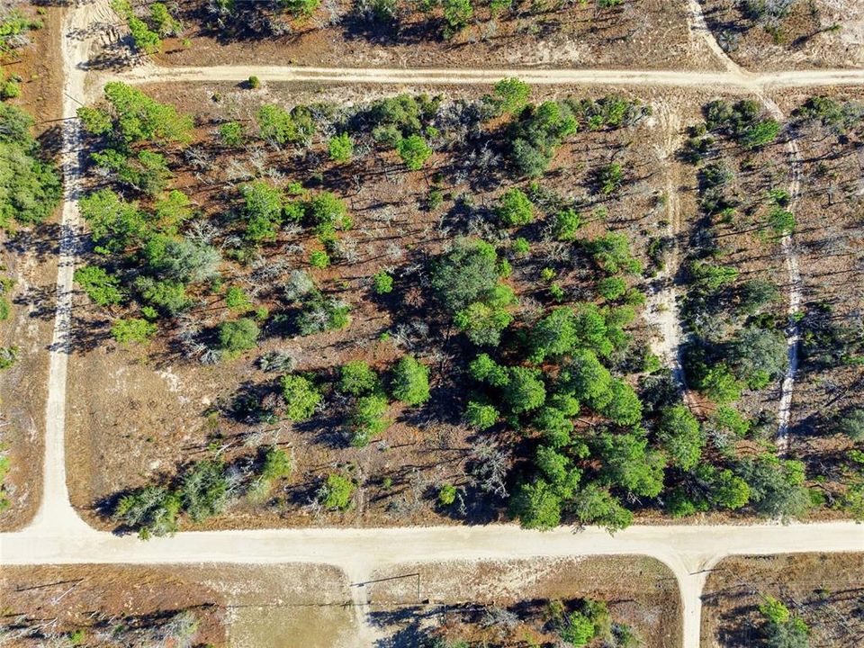 For Sale: $24,000 (0.46 acres)