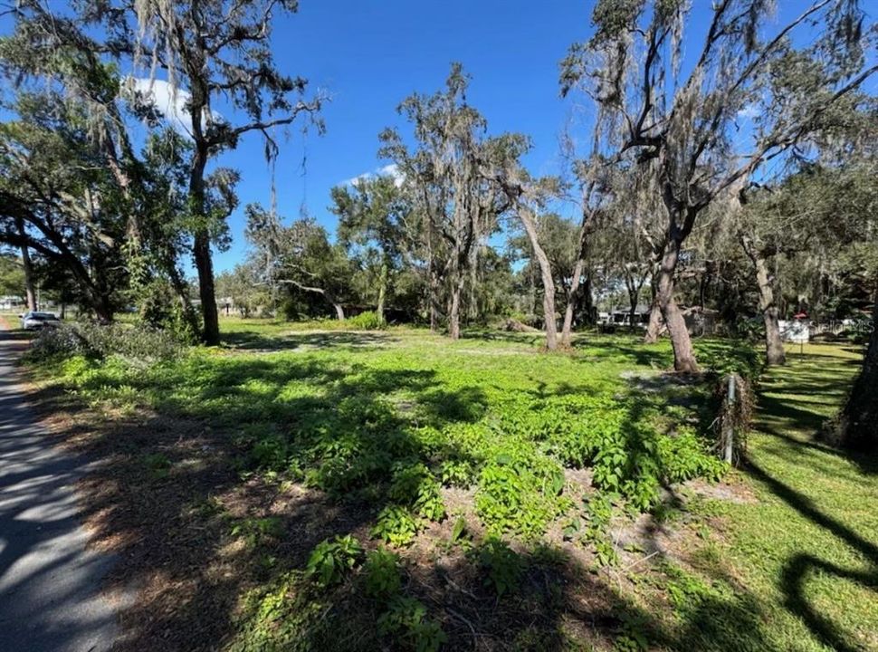 For Sale: $35,000 (0.35 acres)