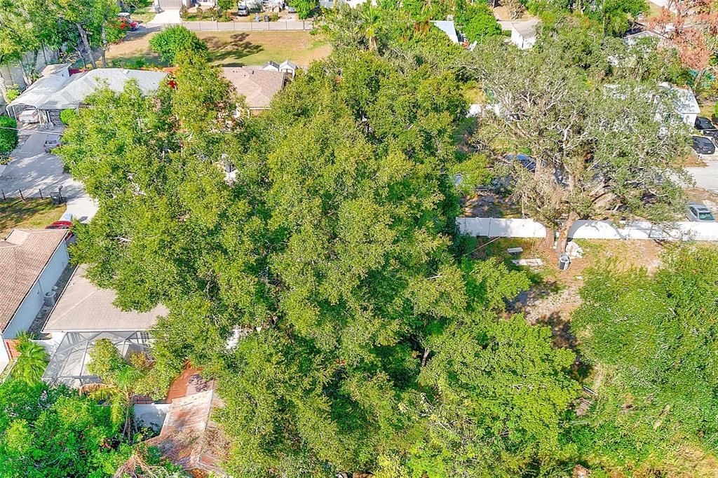 Active With Contract: $69,900 (0.11 acres)