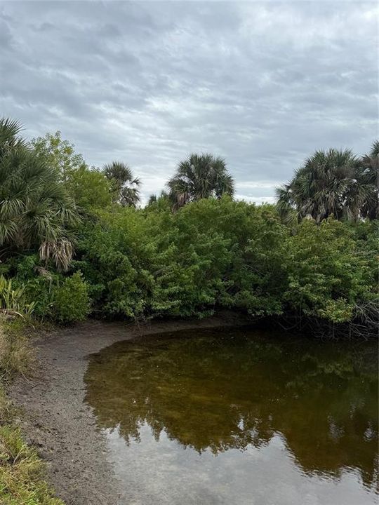 待售: $79,900 (0.23 acres)