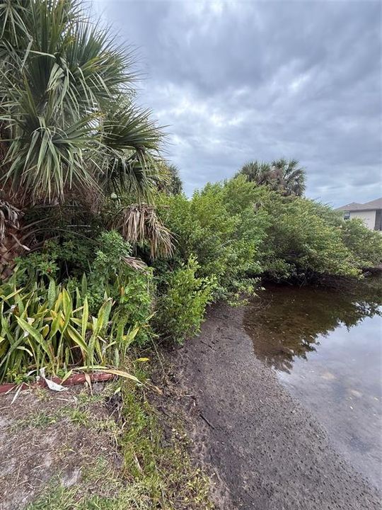 待售: $79,900 (0.23 acres)