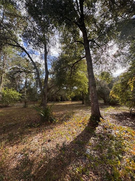 For Sale: $599,999 (2.57 acres)