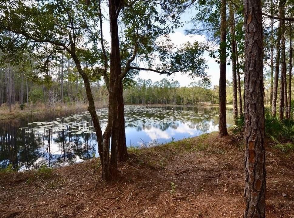 En Venta: $624,999 (2.57 acres)