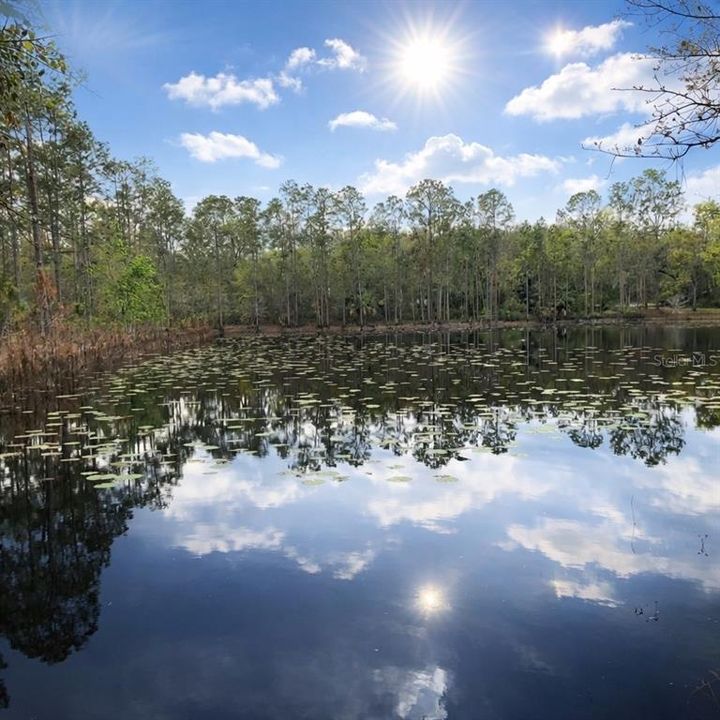 En Venta: $624,999 (2.57 acres)