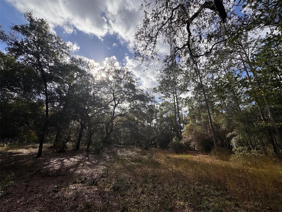 For Sale: $599,999 (2.57 acres)