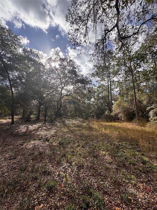For Sale: $599,999 (2.57 acres)