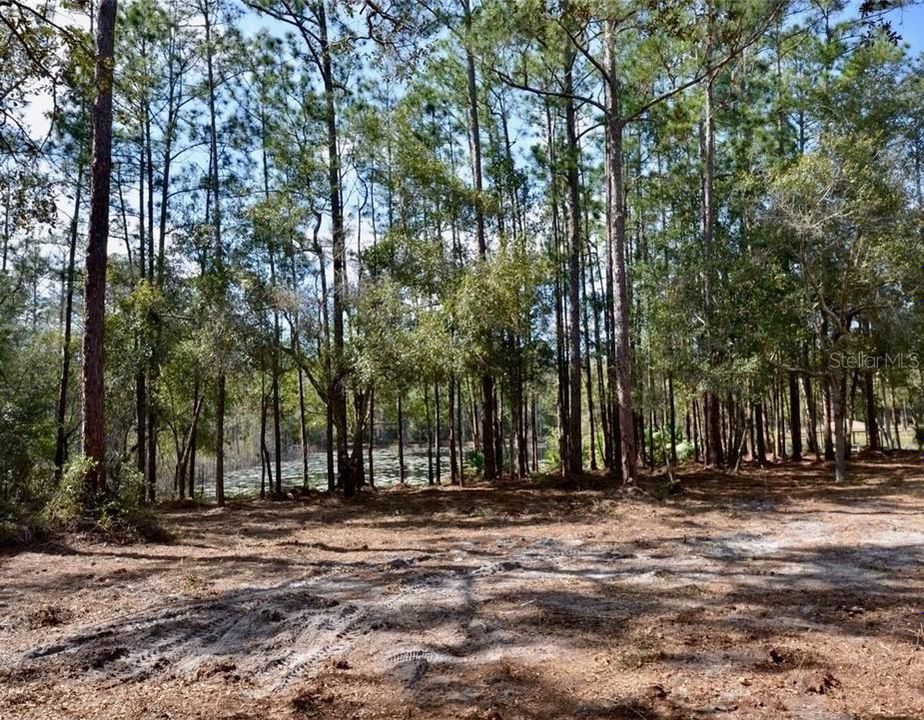 En Venta: $624,999 (2.57 acres)