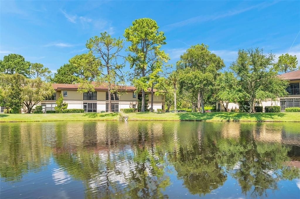 出租: $2,000 (2 贝兹, 2 浴室, 1075 平方英尺)