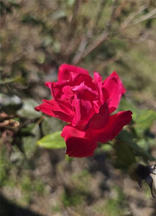 待售: $269,900 (2 贝兹, 2 浴室, 1334 平方英尺)