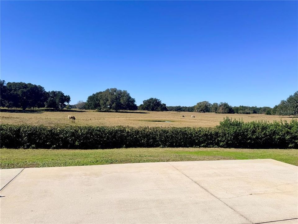 For Sale: $189,900 (0.14 acres)