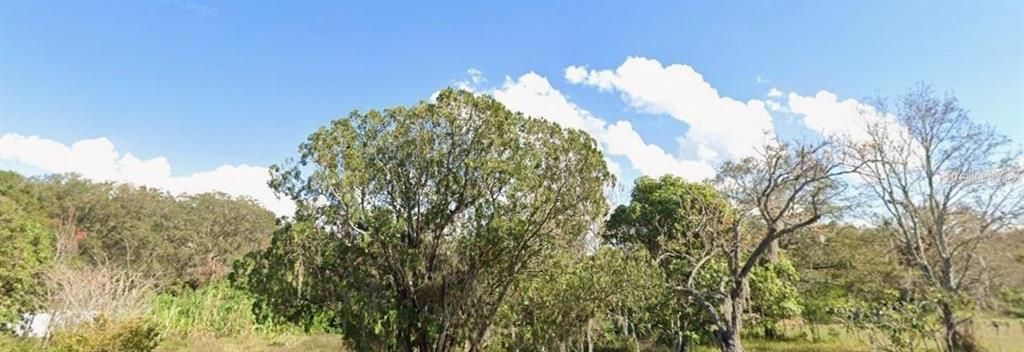 For Sale: $165,000 (0.54 acres)