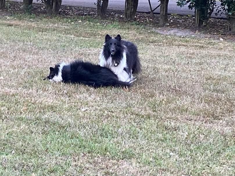 На продажу: $950,000 (2 спален, 2 ванн, 2280 Квадратных фут)