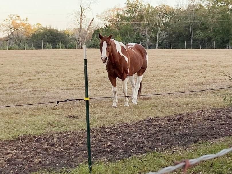 На продажу: $950,000 (2 спален, 2 ванн, 2280 Квадратных фут)