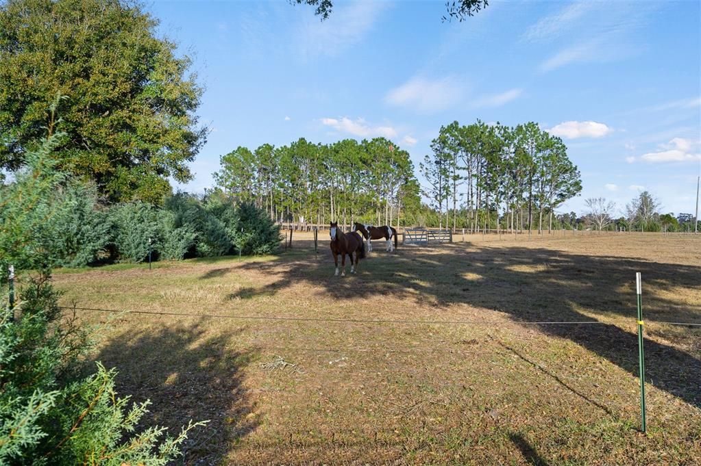 На продажу: $950,000 (2 спален, 2 ванн, 2280 Квадратных фут)