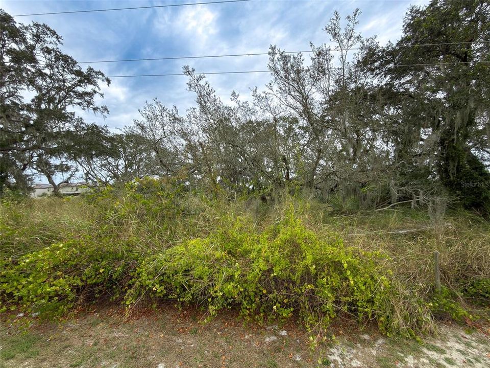 На продажу: $325,000 (1.88 acres)