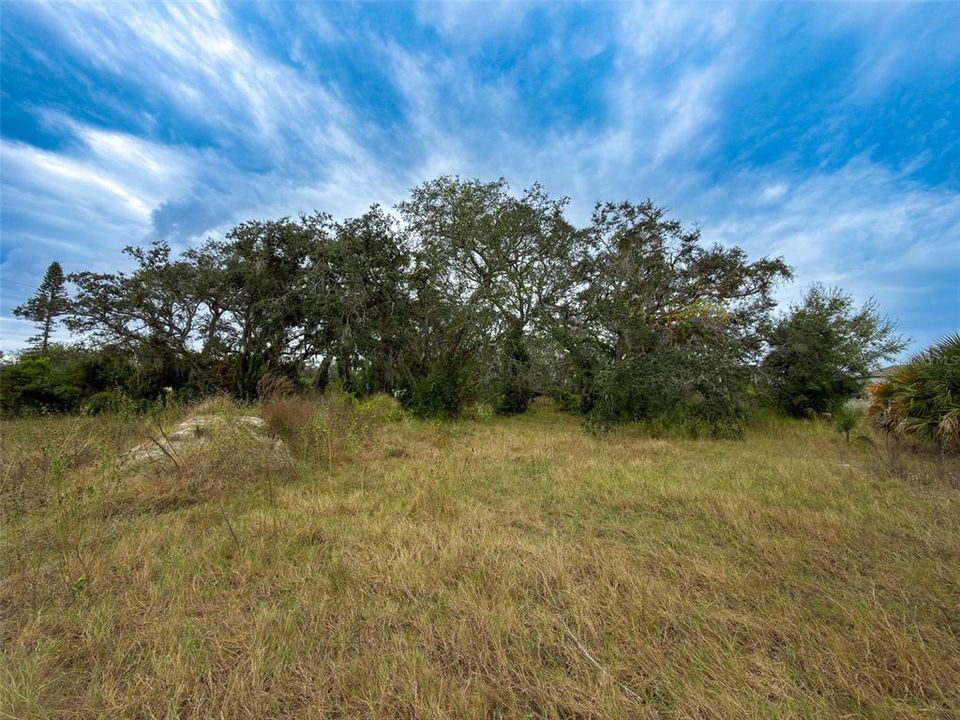 На продажу: $325,000 (1.88 acres)