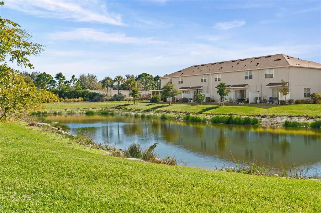 En Renta: $2,000 (3 camas, 2 baños, 1373 Pies cuadrados)