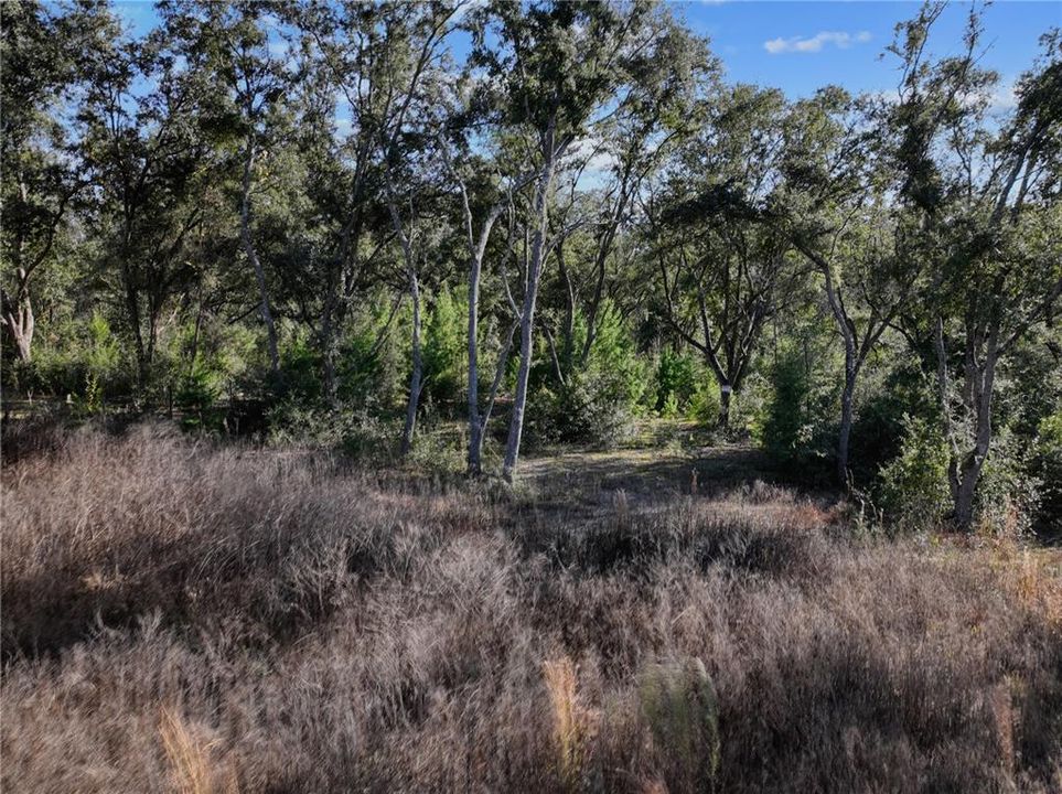 For Sale: $45,000 (0.50 acres)
