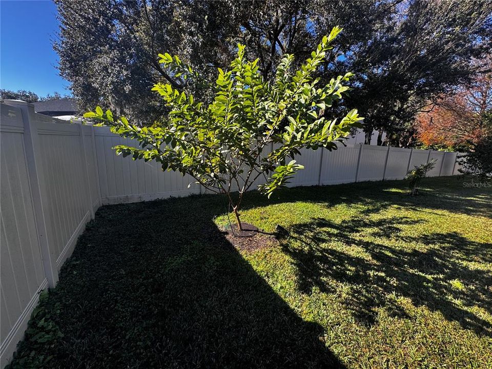 For Sale: $550,000 (4 beds, 2 baths, 2686 Square Feet)