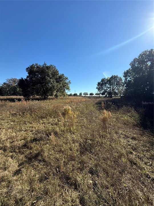 待售: $600,000 (21.08 acres)