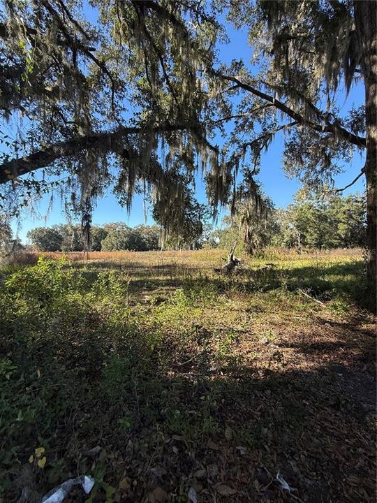 待售: $600,000 (21.08 acres)