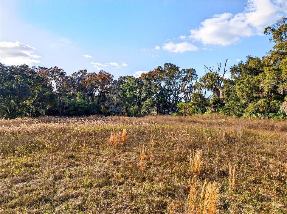 En Venta: $600,000 (21.08 acres)