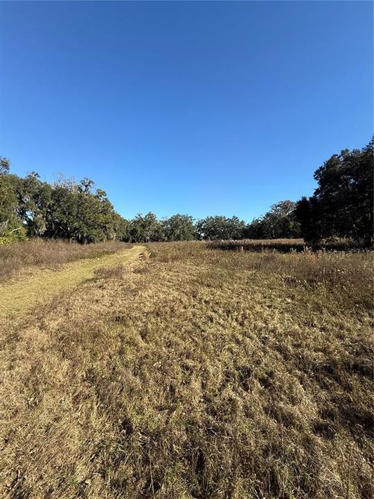 待售: $600,000 (21.08 acres)