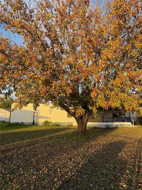 En Venta: $99,000 (2 camas, 1 baños, 648 Pies cuadrados)