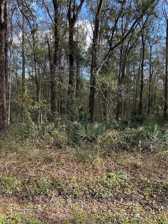 待售: $84,900 (2.27 acres)