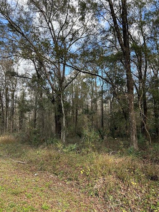 待售: $84,900 (2.27 acres)