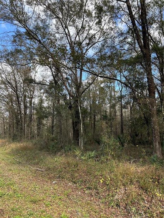 待售: $84,900 (2.27 acres)