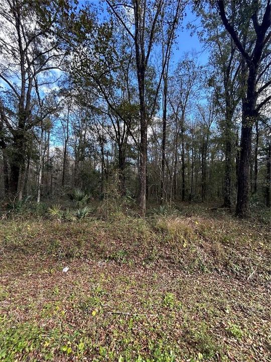 待售: $84,900 (2.27 acres)