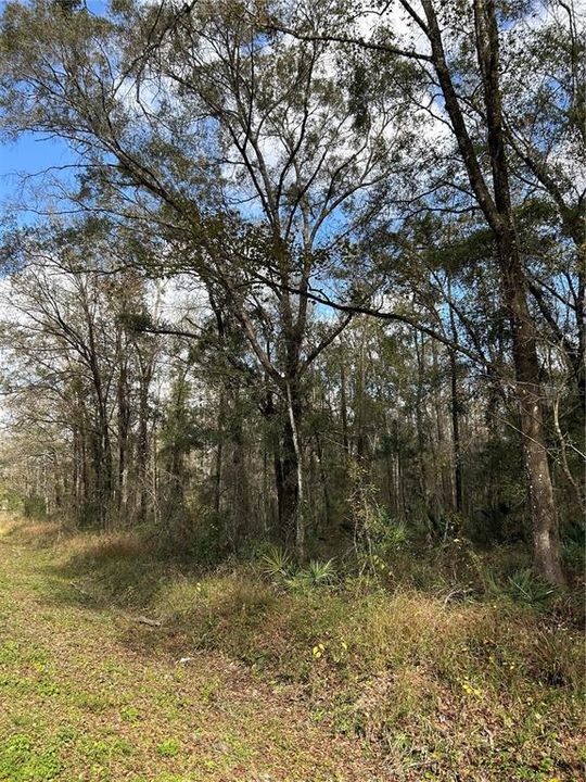 待售: $84,900 (2.27 acres)