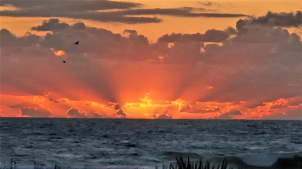 Activo con contrato: $199,999 (3 camas, 1 baños, 922 Pies cuadrados)