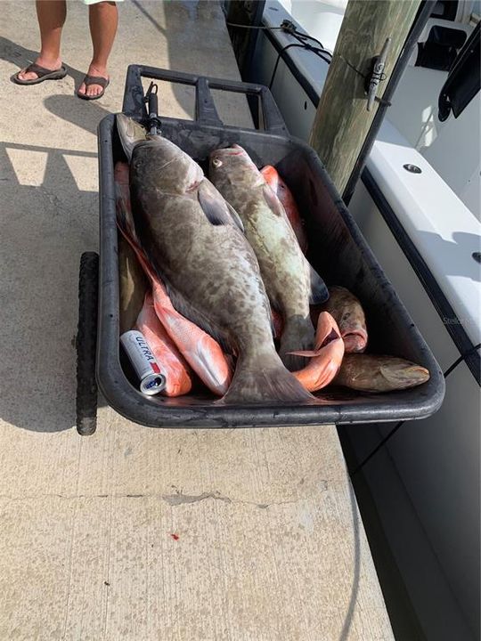 На продажу: $995,000 (4 спален, 2 ванн, 2180 Квадратных фут)