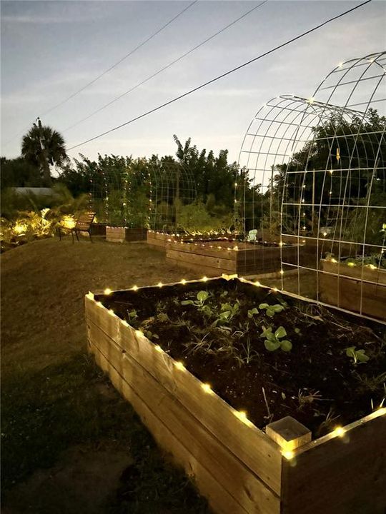 For Sale: $350,000 (3 beds, 2 baths, 1200 Square Feet)