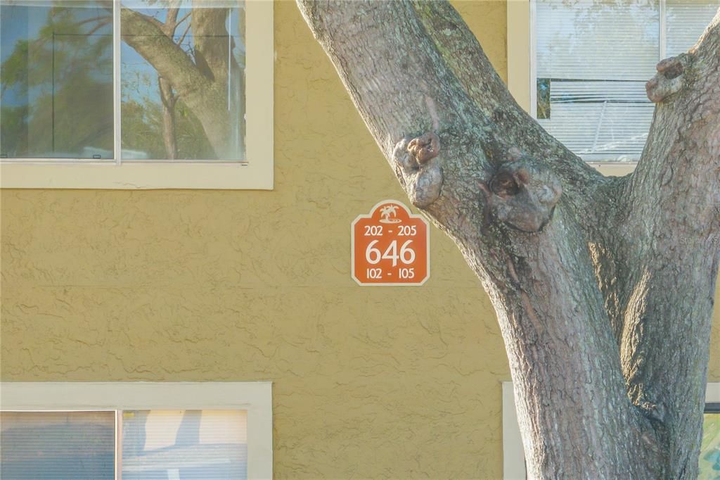 出租: $1,600 (2 贝兹, 2 浴室, 1126 平方英尺)