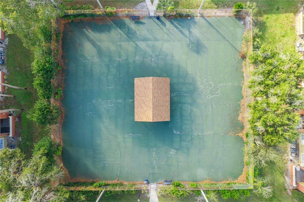 出租: $1,600 (2 贝兹, 2 浴室, 1126 平方英尺)