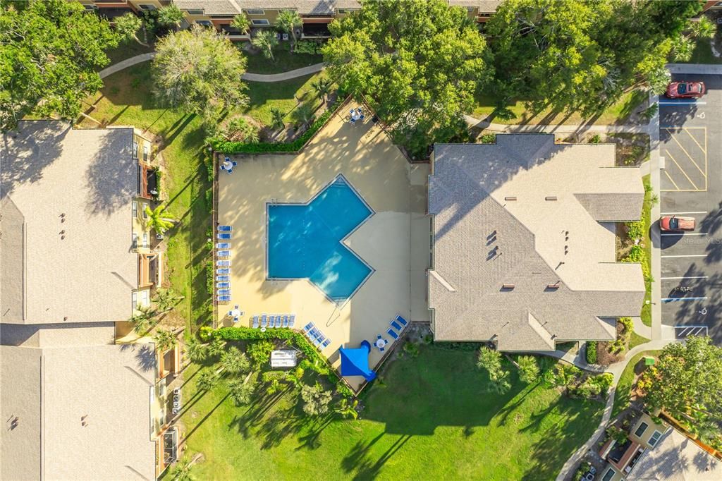 出租: $1,600 (2 贝兹, 2 浴室, 1126 平方英尺)