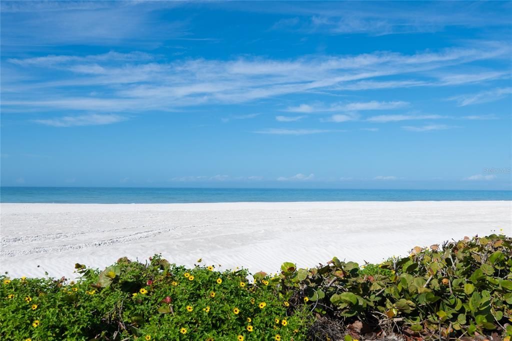 出租: $4,990 (3 贝兹, 2 浴室, 1224 平方英尺)